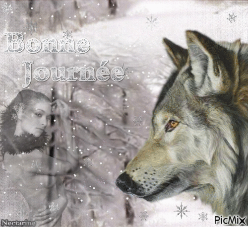 mardi 7 février (neige et verglas) 080fc71b