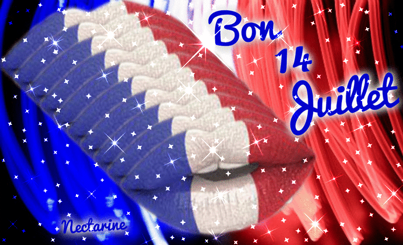 Résultat de recherche d'images pour "bon 14 juillet"