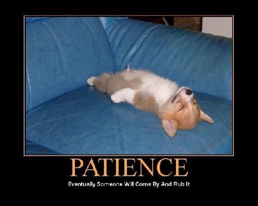 PATIENCE !