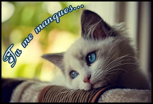 TU ME MANQUES !