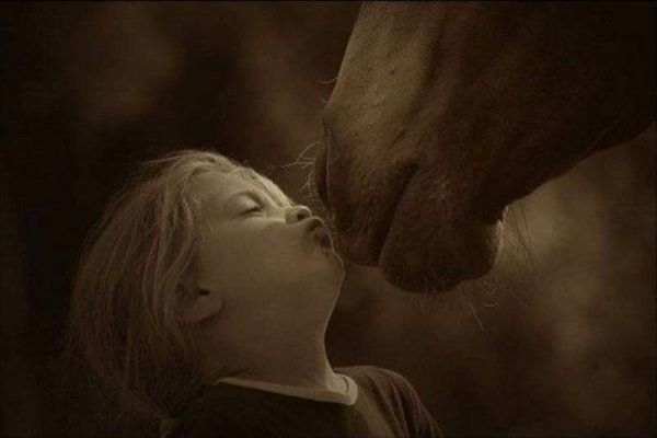 ENFANT... BISOU CHEVAL !!!