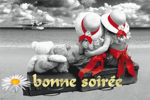 BONNE SOIREE DE SAMARHA MERCI MA DOUCE (*_*)