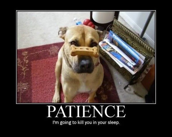 PATIENCE !