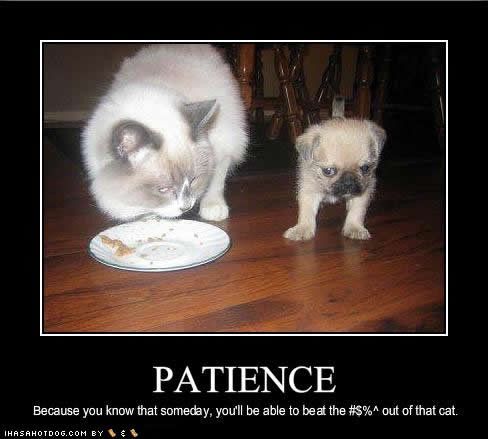 PATIENCE !