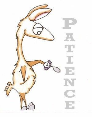 PATIENCE !