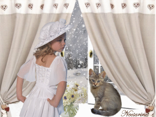 Bon Dimanche C77c8a85