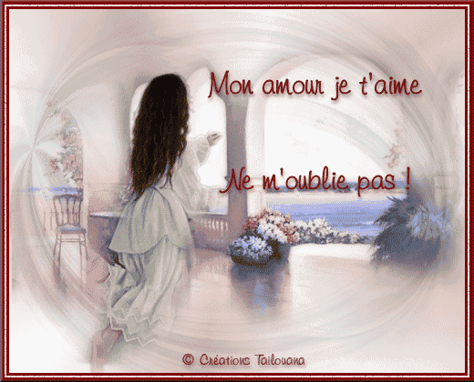 Afficher l'image d'origine