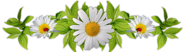 Bon Vendredi 82106683_77761887_4097418_iouiu