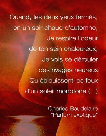 Tellement vrai cherche lamour desesperement